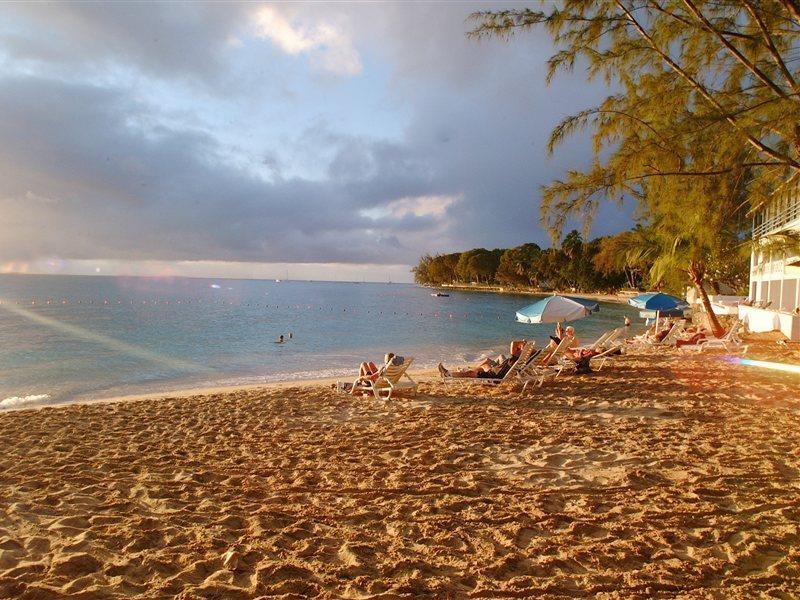 Starfish Discovery Bay Holetown Extérieur photo