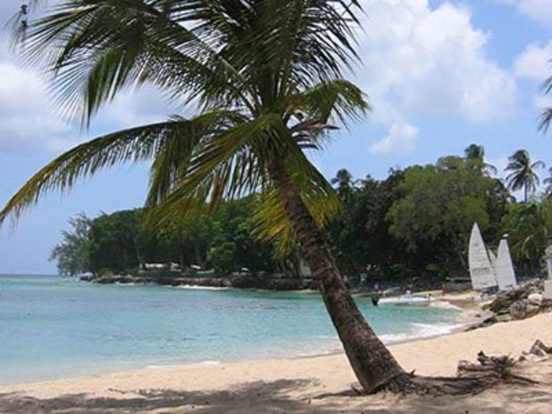 Starfish Discovery Bay Holetown Extérieur photo